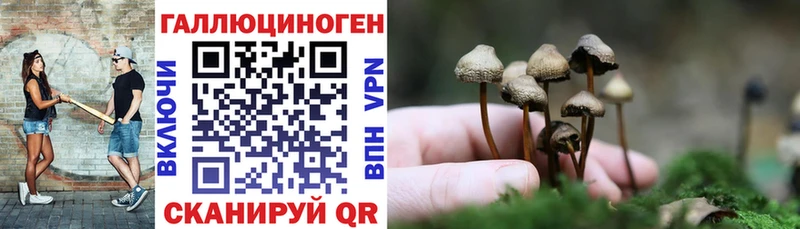 Галлюциногенные грибы MAGIC MUSHROOMS  где найти   Краснообск 
