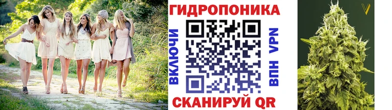 закладки  Краснообск  darknet наркотические препараты  Каннабис ГИДРОПОН 